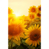 Xxl Wandbild Sonnenblumen Im Abendlicht Hochformat Motivvorschau