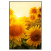 Xxl Wandbild Sonnenblumen Im Abendlicht Hochformat Produktvorschau Frontal