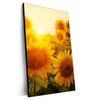 Xxl Wandbild Sonnenblumen Im Abendlicht Hochformat Produktvorschau Seitlich