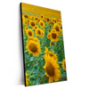 Xxl Wandbild Sonnenblumenfeld Hochformat Produktvorschau Seitlich