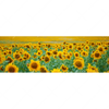 Xxl Wandbild Sonnenblumenfeld Panorama Motivvorschau