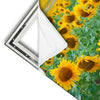 Xxl Wandbild Sonnenblumenfeld Quadrat Materialvorschau