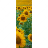 Xxl Wandbild Sonnenblumenfeld Schmal Motivvorschau
