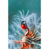 Xxl Wandbild Sonnenkaefer Auf Pusteblume Hochformat Motivvorschau