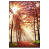 Xxl Wandbild Sonnenlicht Im Nebligen Wald Hochformat Produktvorschau Frontal