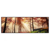 Xxl Wandbild Sonnenlicht Im Nebligen Wald Panorama Produktvorschau Frontal