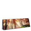 Xxl Wandbild Sonnenlicht Im Nebligen Wald Panorama Produktvorschau Seitlich