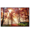 Xxl Wandbild Sonnenlicht Im Nebligen Wald Querformat Produktvorschau Frontal