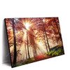 Xxl Wandbild Sonnenlicht Im Nebligen Wald Querformat Produktvorschau Seitlich