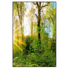 Xxl Wandbild Sonnenlicht Im Wald Hochformat Produktvorschau Frontal