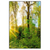 Xxl Wandbild Sonnenlicht Im Wald Hochformat Produktvorschau Frontal