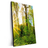 Xxl Wandbild Sonnenlicht Im Wald Hochformat Produktvorschau Seitlich