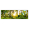 Xxl Wandbild Sonnenlicht Im Wald Panorama Produktvorschau Frontal