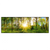 Xxl Wandbild Sonnenlicht Im Wald Panorama Produktvorschau Frontal