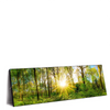 Xxl Wandbild Sonnenlicht Im Wald Panorama Produktvorschau Seitlich