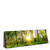 Xxl Wandbild Sonnenlicht Im Wald Panorama Produktvorschau Seitlich