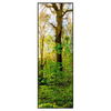 Xxl Wandbild Sonnenlicht Im Wald Schmal Produktvorschau Frontal