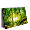 Xxl Wandbild Sonnenstrahlen Im Dichten Wald Querformat Produktvorschau Seitlich
