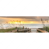 Xxl Wandbild Sonnenuntergang Am Strandweg Panorama Motivvorschau