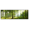 Xxl Wandbild Sonniger Morgen Im Wald Panorama Produktvorschau Frontal