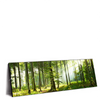 Xxl Wandbild Sonniger Morgen Im Wald Panorama Produktvorschau Seitlich