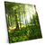 Xxl Wandbild Sonniger Morgen Im Wald Quadrat Produktvorschau Seitlich