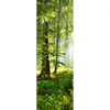 Xxl Wandbild Sonniger Morgen Im Wald Schmal Motivvorschau