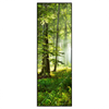 Xxl Wandbild Sonniger Morgen Im Wald Schmal Produktvorschau Frontal
