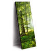 Xxl Wandbild Sonniger Morgen Im Wald Schmal Produktvorschau Seitlich