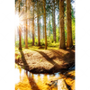 Xxl Wandbild Sonniger Wald Hochformat Motivvorschau
