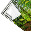Xxl Wandbild Sonniger Wald Panorama Materialvorschau
