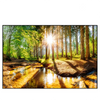 Xxl Wandbild Sonniger Wald Querformat Produktvorschau Frontal