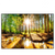 Xxl Wandbild Sonniger Wald Querformat Produktvorschau Frontal