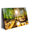 Xxl Wandbild Sonniger Wald Querformat Produktvorschau Seitlich