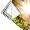 Xxl Wandbild Sonniger Wald Schmal Materialvorschau
