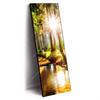 Xxl Wandbild Sonniger Wald Schmal Produktvorschau Seitlich