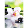 Xxl Wandbild Spa Wellness Steine Hochformat Motivvorschau