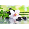 Xxl Wandbild Spa Wellness Steine Querformat Motivvorschau