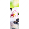 Xxl Wandbild Spa Wellness Steine Schmal Motivvorschau