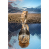 Xxl Wandbild Spiegelbild Loewe Loewenjunges Hochformat Motivvorschau