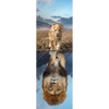 Xxl Wandbild Spiegelbild Loewe Loewenjunges Schmal Motivvorschau