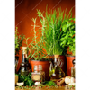Xxl Wandbild Stillleben Mit Mediterranen Kraeutern Hochformat Motivvorschau