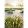 Xxl Wandbild Strand Mit Sandduenen Hochformat Motivvorschau