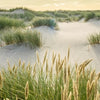 Xxl Wandbild Strand Mit Sandduenen Hochformat Zoom