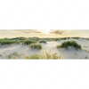Xxl Wandbild Strand Mit Sandduenen Panorama Motivvorschau