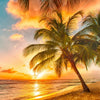 Xxl Wandbild Strand Von Barbados Quadrat Motivvorschau
