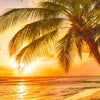 Xxl Wandbild Strand Von Barbados Quadrat Zoom