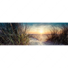 Xxl Wandbild Strandlandschaft Mit Gras Panorama Motivvorschau