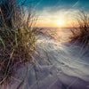 Xxl Wandbild Strandlandschaft Mit Gras Quadrat Motivvorschau