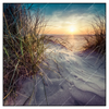 Xxl Wandbild Strandlandschaft Mit Gras Quadrat Produktvorschau Frontal